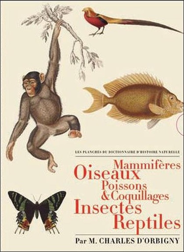 [9782814400306] Les planches du Dictionnaire d'Histoire Naturelle - Coffret 5 vol.