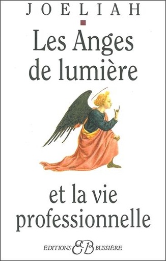 [9782850901027] Les Anges de lumière et la vie professionnelle