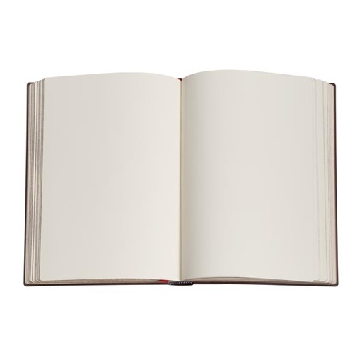 [9781439746264] Carnets à couverture rigide - Aurore - Mini - Non ligné
