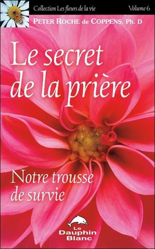 [9782894363249] Le secret de la prière - Notre trousse de survie