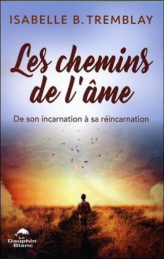 [9782897882495] Les chemins de l'âme - De son incarnation à sa réincarnation