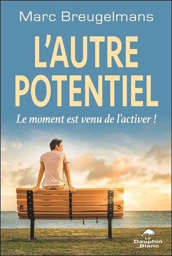 [9782897882983] L'autre potentiel - Le moment est venu de l'activer !