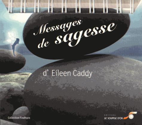 [épuisé] Messages de sagesse de la Petite Voix