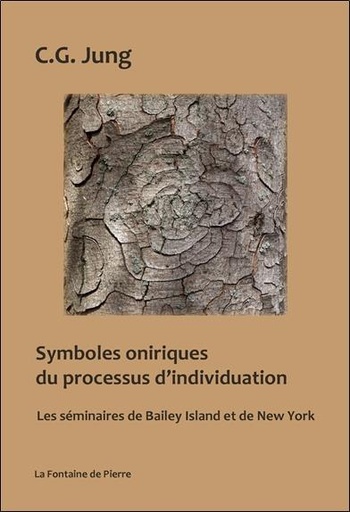 Couverture du livre Symboles oniriques du processus d'individuation - Les séminaires de Bailey Island et de New-York de Carl Gustav Jung