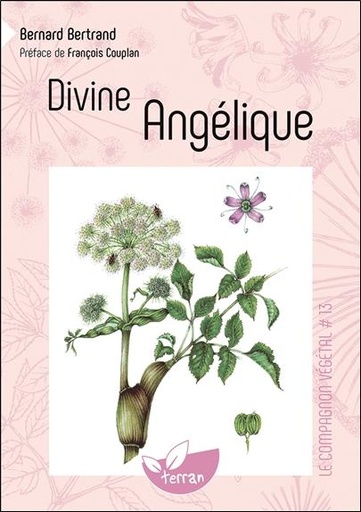 Couverture du livre Divine Angélique - Vol. 13 de Bernard Bertrand