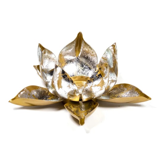 [9782913826748] Le Faucon