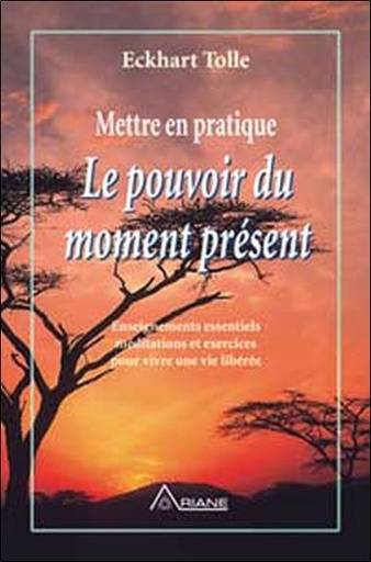 [9782920987609] Mettre en pratique le pouvoir du moment présent