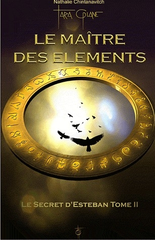 [9782953231847] Le maître des éléments - Secret d'Esteban T2
