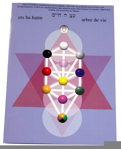 [9789079887088] Planche cellophanée Arbre de vie (A4 double) - J.Baarle