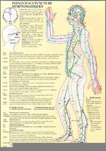 [9789079887125] Planche plastifiée Points acupuncture symptomatique (A4) - J.Baarle