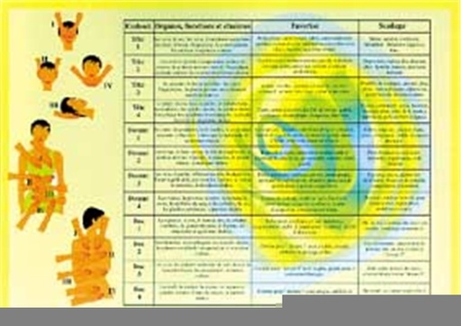 [9789079887989] Planche plastifiée Reiki (A4) - J.Baarle