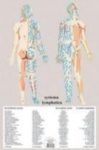 [9789079887880] Poster plastifié le Système lymphatique (A2) - J.Baarle