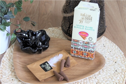 [8901684617398] Encens à refoulement sauge blanche et palo santo