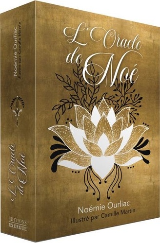 Couverture du livre L'oracle de noe de Camille Martin