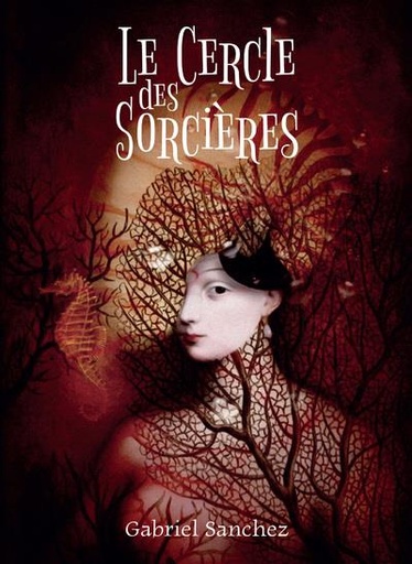 [9782381350875] Coffret l'oracle le cercle des sorcières