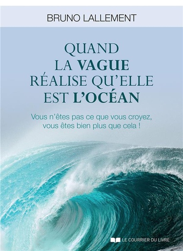[9782702913284] Quand la vague réalise qu'elle est l'océan ; vous n'êtes pas ce que vous croyez, vous êtes bien plus que cela !