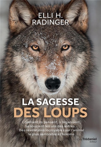 [9782813216724] La sagesse des loups ; comment ils pensent, s'organisent, se soucient des autres... des révélations incroyables sur l'animal le plus semblable à l'homme