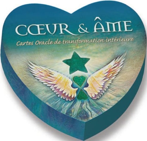 Couverture du livre Cœur et Âme (Coffret) de Toni Carmine Salerno