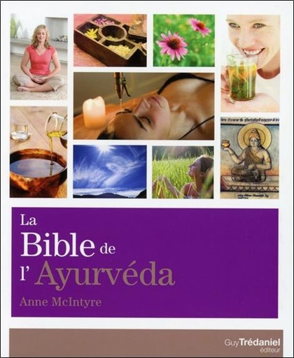 Couverture du livre La Bible de L'ayurvéda de Anne McIntyre