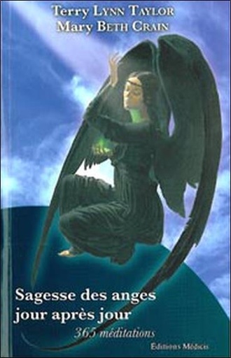 [9782853272353] Sagesse des anges jour après jour