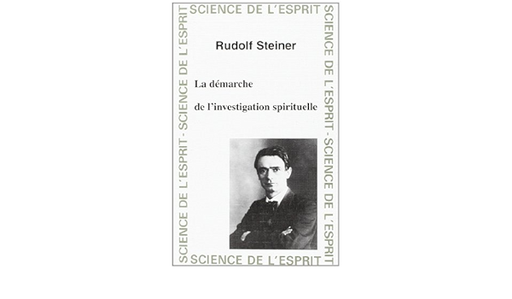 [9782881891373] DEMARCHE DE L' INVESTIGATION