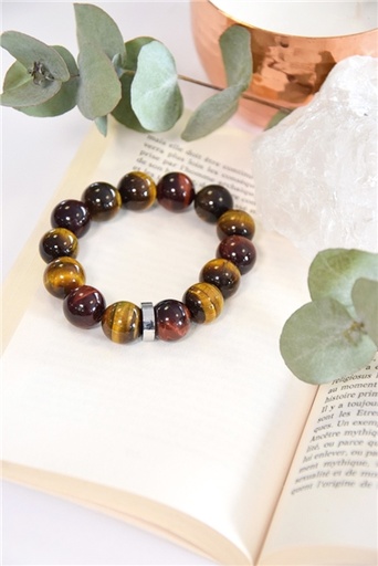 [3660341714195] Bracelet Oeil de Tigre de Taureau et de Faucon Perles rondes 14 mm