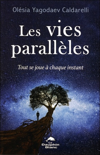 [9782897884895] Les vies parallèles - Tout se joue à chaque instant
