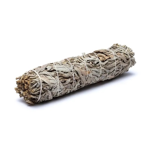 [8720512974256] Sauge blanche Smudge XL set de 6 | ±115 g;±23x5.5 cm