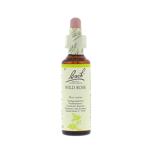 [0741273007838] Fleurs de Bach Wild Rose | 20 ml
