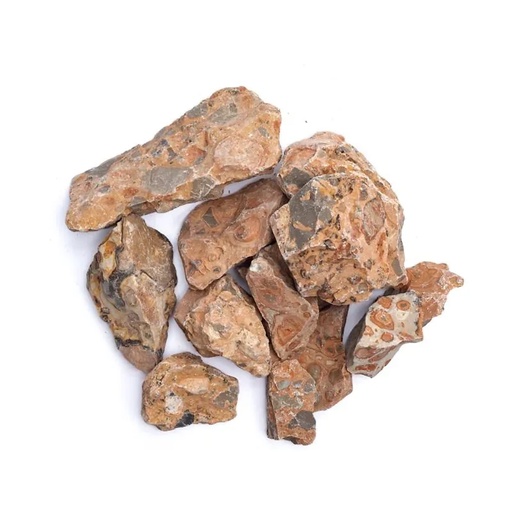 [8720512974096] Léopardite brute | ±3-8cm; ±1000g