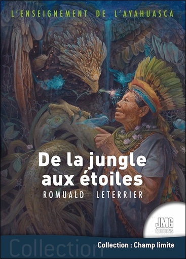 [9782357842205] L'enseignement de l'ayahuasca - De la jungle aux étoiles