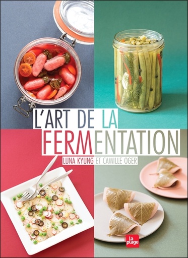 [9782842214500] [épuisé] L'art de la fermentation