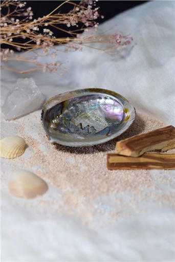 [3660341716120] Coquille d'Ormeau