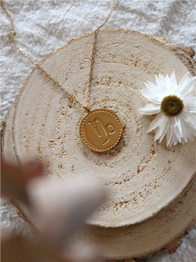 [3660341716298] Collier Signe astrologique Capricorne