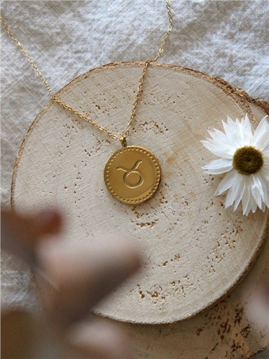 [3660341716304] Collier Signe astrologique Taureau
