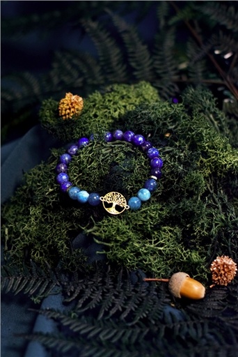 [3660341719954] Bracelet Perles rondes 8 mm Lapis-Lazuli et Apatite Charm Arbre de vie