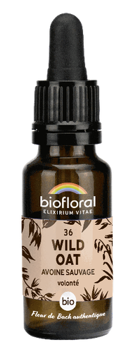 [3760029841363] Fleurs de bach N36 Avoine sauvage