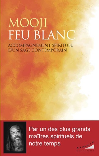 [9782351185360] Feu blanc