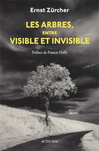 Couverture du livre Les arbres, à la racines de la vie : réenchanter le regard de Brigitte Prost