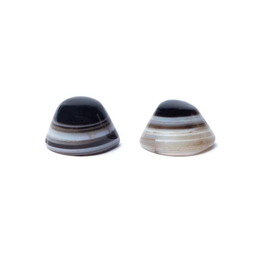 [8720512978193] Oeil de Shiva Pierre de protection en agate naturelle | ± 2 cm