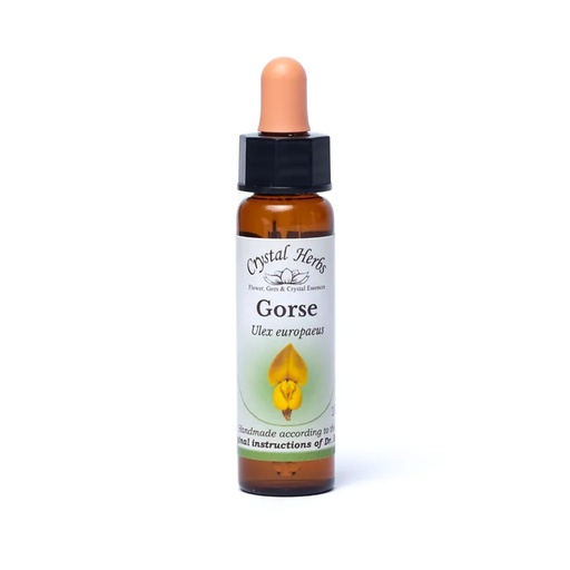 [5060100560137] Crystal Herbs Fleur de Bach Ajonc | 10ml