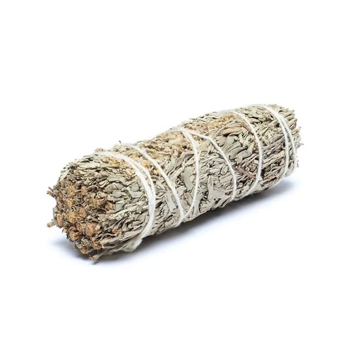 [8720512977141] Sauge Shasta Smudges de S set de 2 | ±10-11cm; ±25-35g
