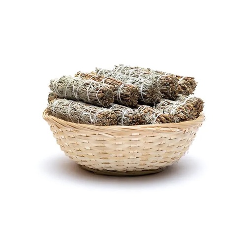[8720512977202] Sauge Shasta smudge S - 24 par panier | ±10-11cm; ±25-35g