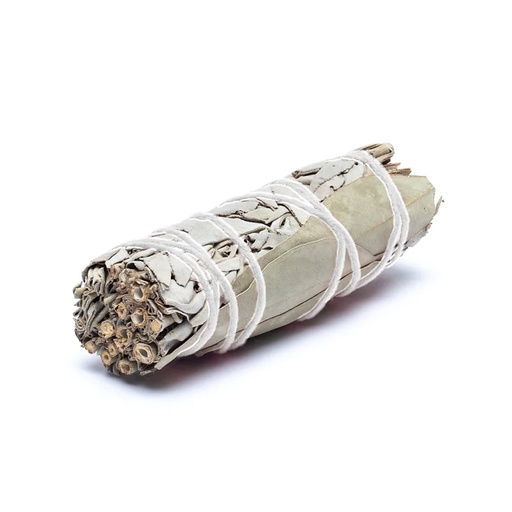 [8720512977172] Smudge de sauge blanche à Eucalyptus S set de 2 | ±10-11cm; ±25-35g
