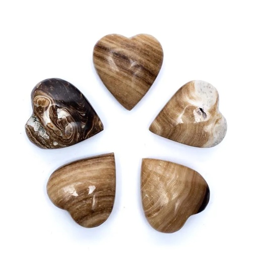 [8720512974898] Coeur en Aragonite marron Pierre de soucis | 4,5x4x2cm