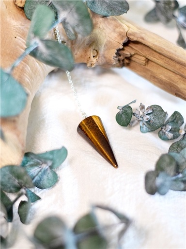 [3660341723937] Pendule Cône Lisse en il de tigre