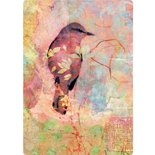 [4260398511496] Cartes postales Oiseau -- 10.5x15 cm