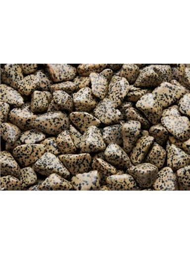 [3660341735541] Pierres roulées - Jaspe Dalmatien - Sachet 500 grs