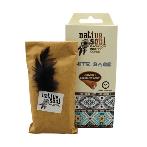 [8901684619422] Encens cône Cascade Native Soul Sauge Blanche