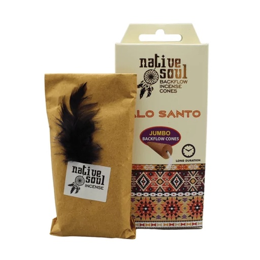 [8901684619408] Encens cône Cascade Native Soul Palo Santo